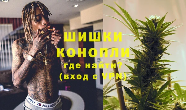 spice Пересвет