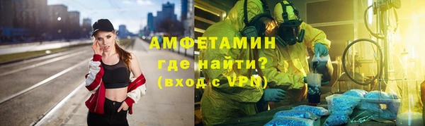сатива Тайга