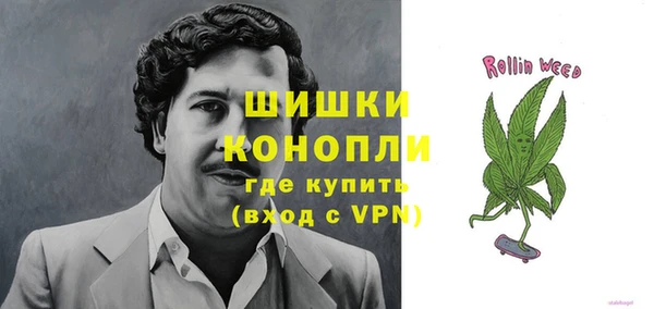 spice Пересвет