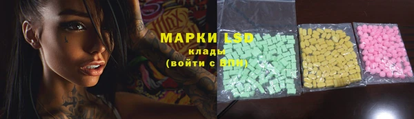 прущие грибы Пестово