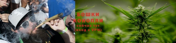 a pvp Дубовка