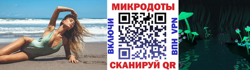 магазин продажи   Тавда  Псилоцибиновые грибы Psilocybine cubensis 