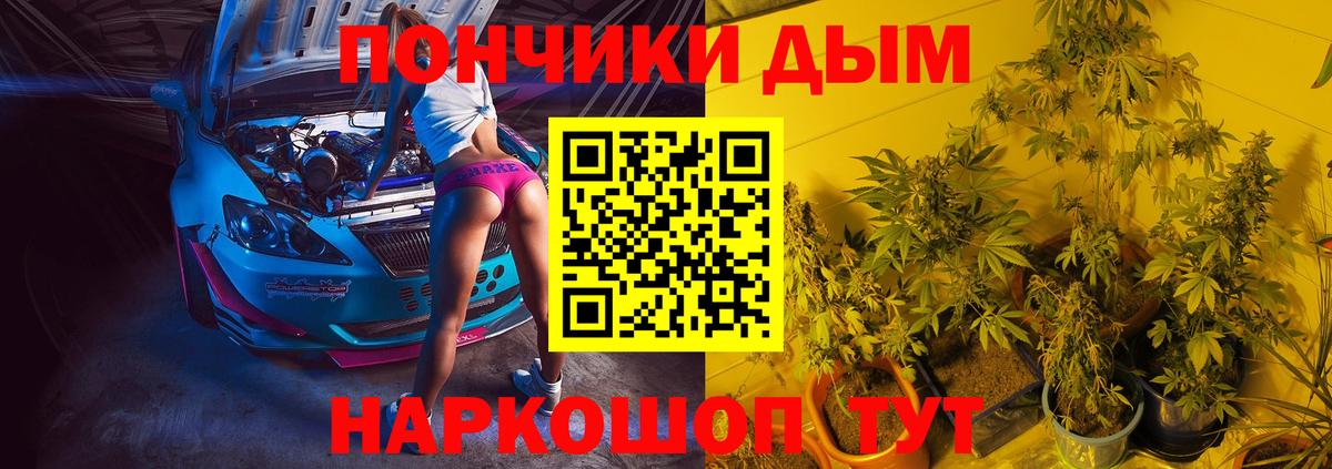 Тавда  Конопля план  Вход с VPN  МАРИХУАНА MAZAR  Шишки марихуана VHQ 